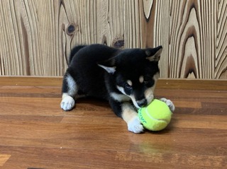 写真 2020-07-12 13 32 40.jpg