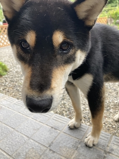 写真 2021-10-01 8 57 52.jpg