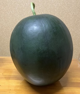 写真 2022-06-19 20 18 19 (1).jpg