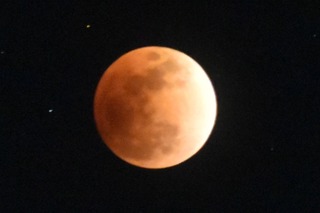 FullSizeRender 11.jpg